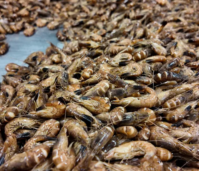 DJI 20240531101025 0029 D