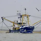 SCH18 Boeier Met Garnalennetten