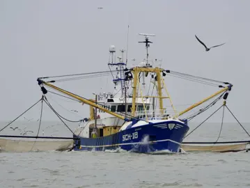 SCH18 Boeier Met Garnalennetten