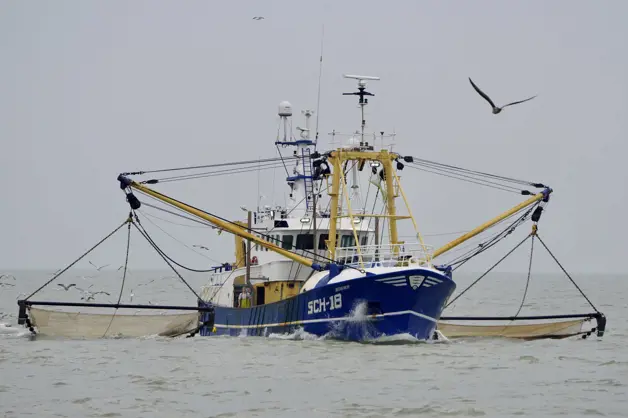 SCH18 Boeier Met Garnalennetten
