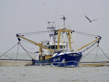 SCH18 Boeier Met Garnalennetten