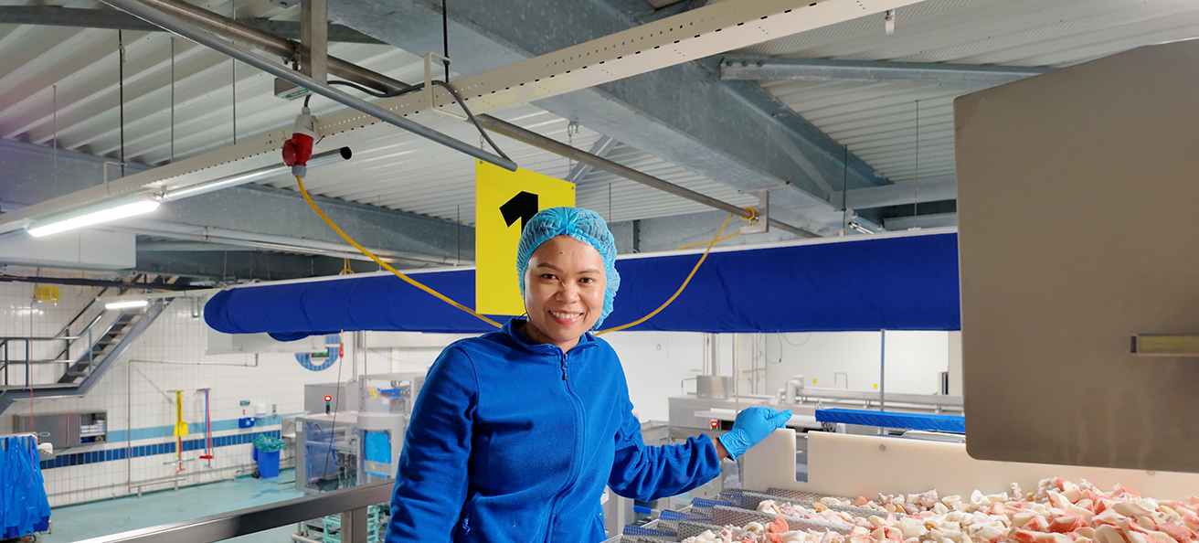 Kegge Banner Small Productie