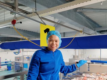 Kegge Banner Small Productie